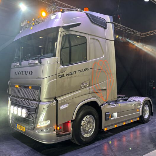 tempDjziek Aflevering de Hout Tulips B.V.